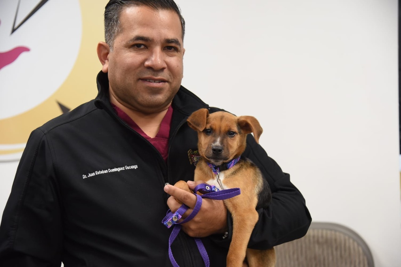 Alcaldesa Montserrat Caballero invita a los ciudadanos adoptar una mascota