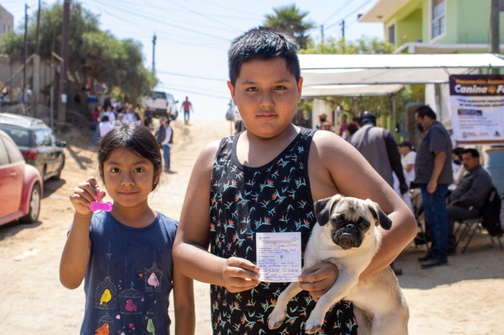 Continúa Baja California libre de rabia en humanos y mascotas: Secretaría de Salud