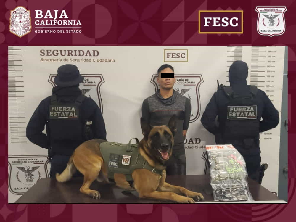 Detiene FESC a 11 personas en posesión de narcóticos