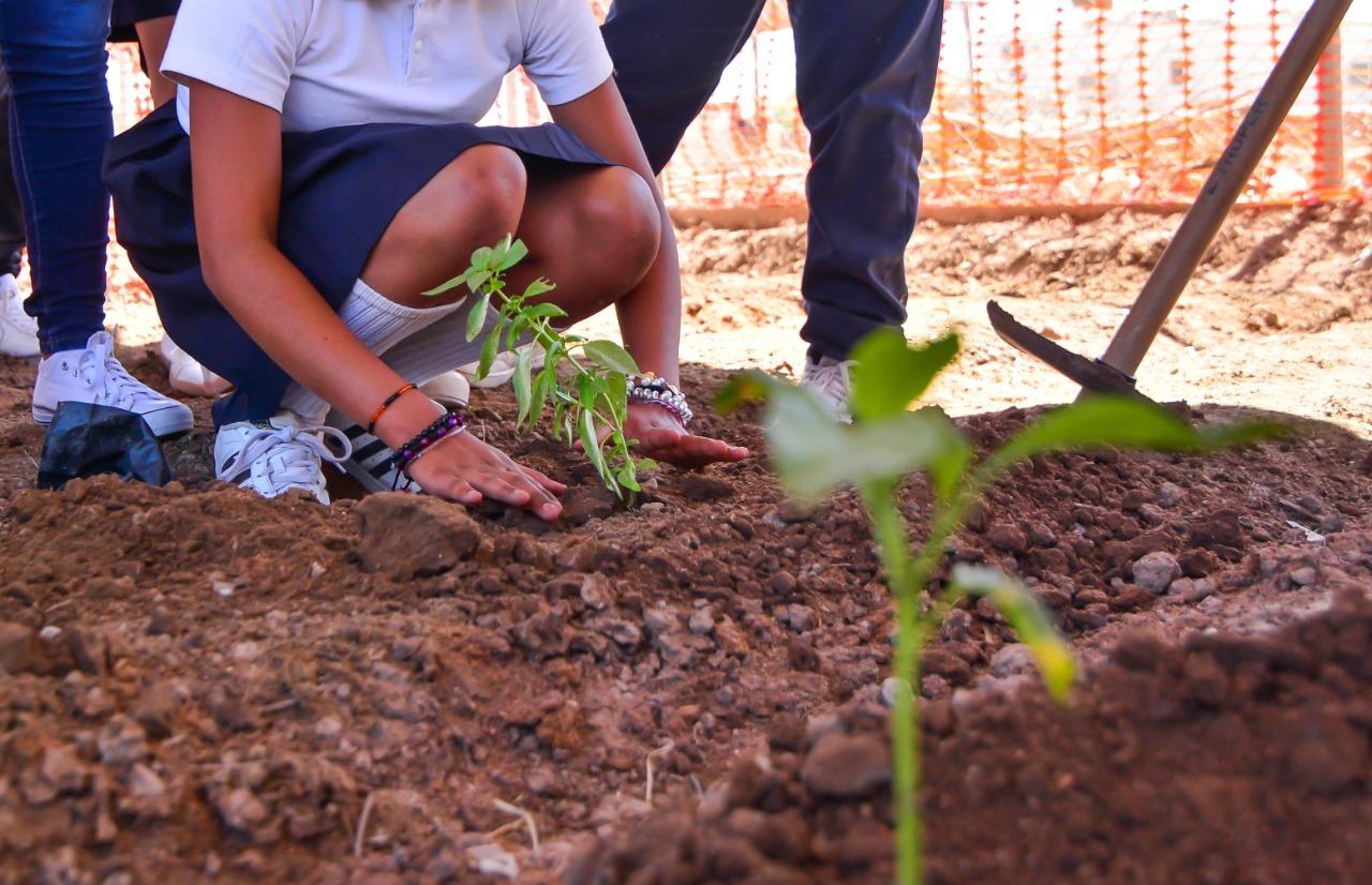 Fortalece DIF Baja California su programa de huertos comunitarios y escolares