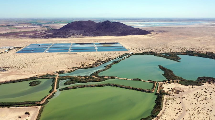 Promueve CESPM conservación de los humedales