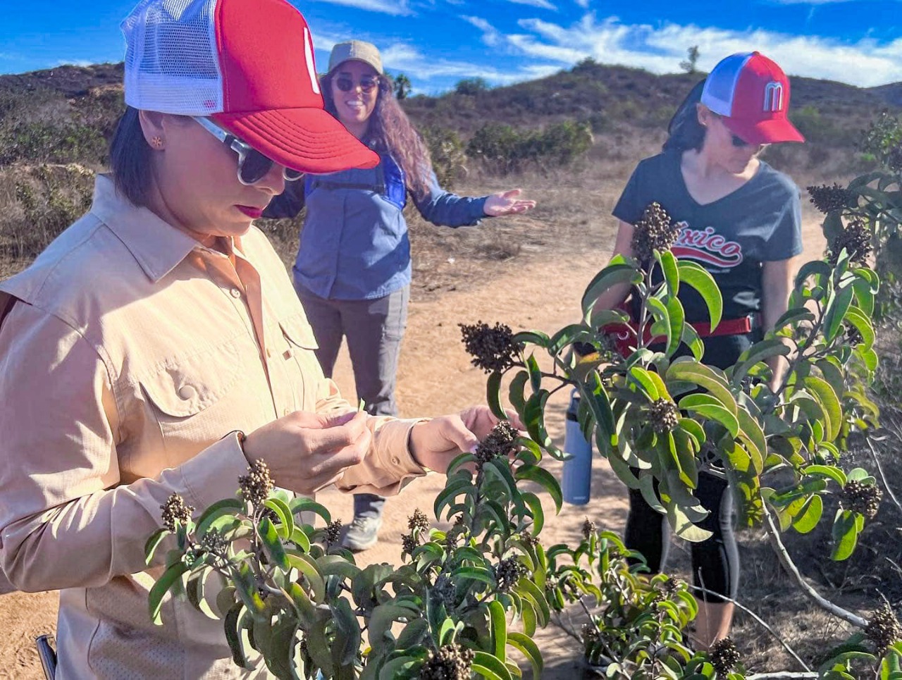 Trabaja SMADS junto a asociaciones civiles en pro de la Flora Nativa