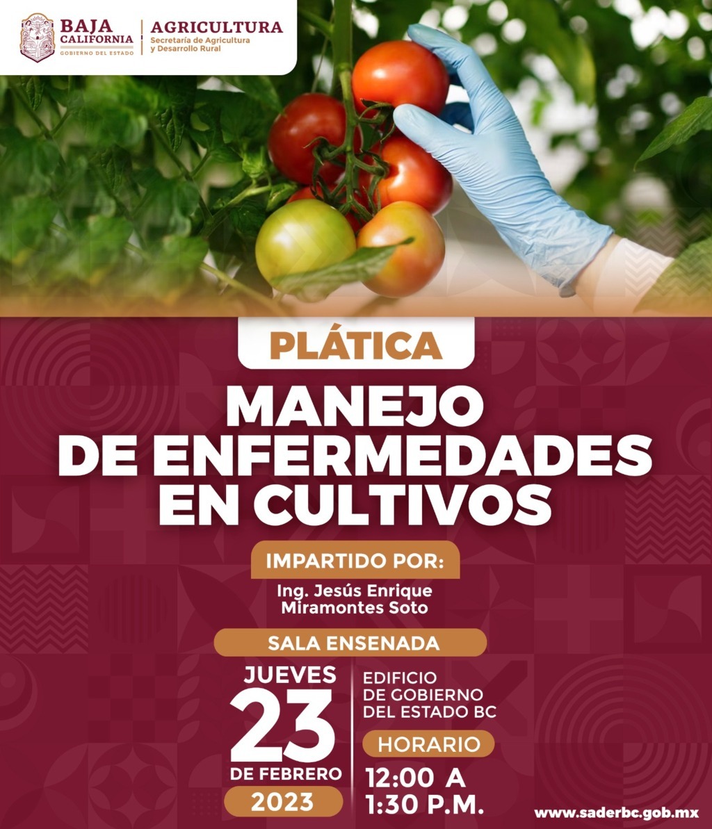 Actualiza SADER BC a productores para prevenir enfermedades en sus cultivos