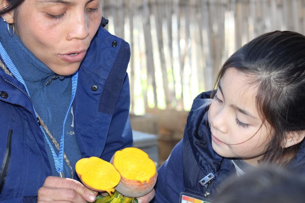 Adquieren alumnas y alumnos de educación básica conocimientos de horticultura orgánica