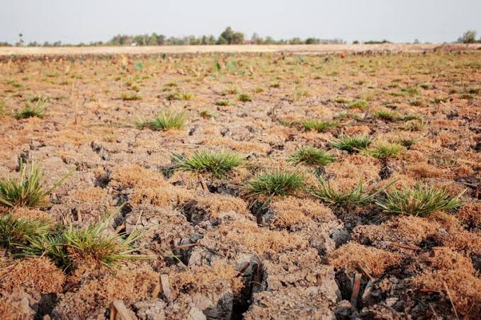 Invita SADER BC a agricultores de temporal a solicitar apoyos por daños climatológicos