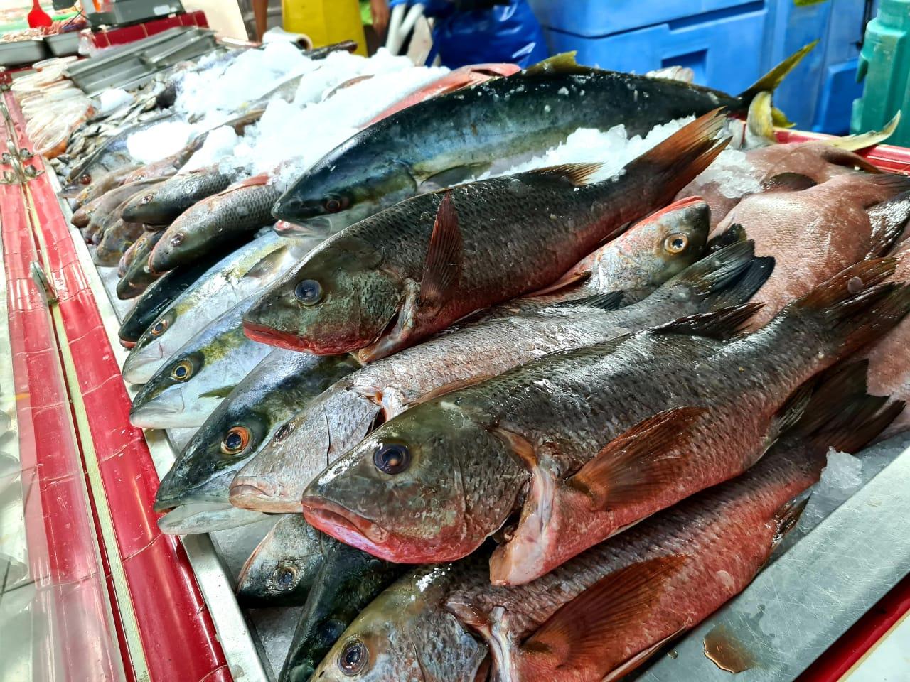 Recomienda Secretaría de Salud de BC cuidados ante el consumo de pescados y mariscos en temporada de cuaresma