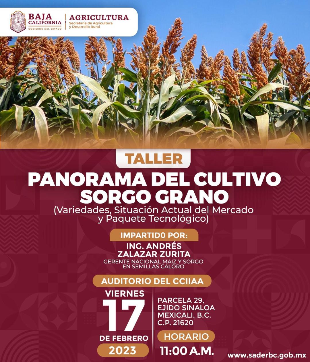 Ofrece SADER taller gratuito a productores para iniciar el cultivo de sorgo en el Valle de Mexicali