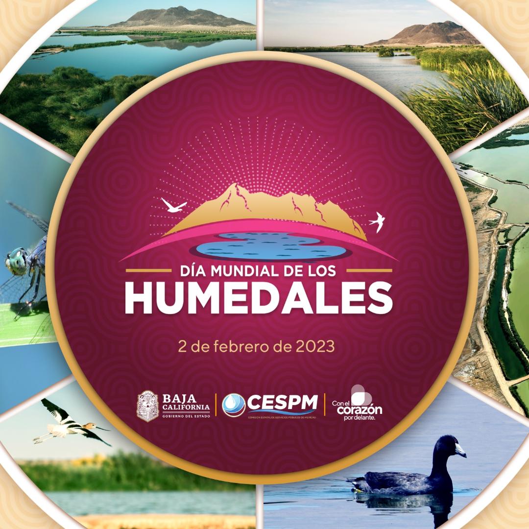 Promueve CESPM conservación de humedales para equilibrio ambiental de Mexicali