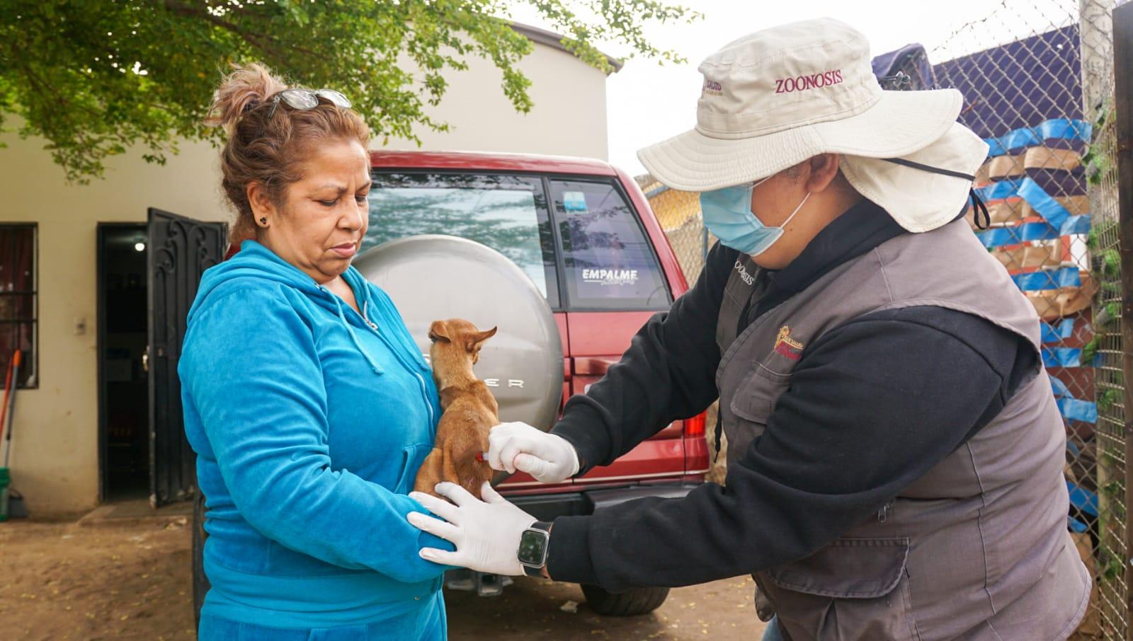 Impulsan Secretaría de Salud y Playas de Rosarito estrategia “Dueños responsables de mascotas”