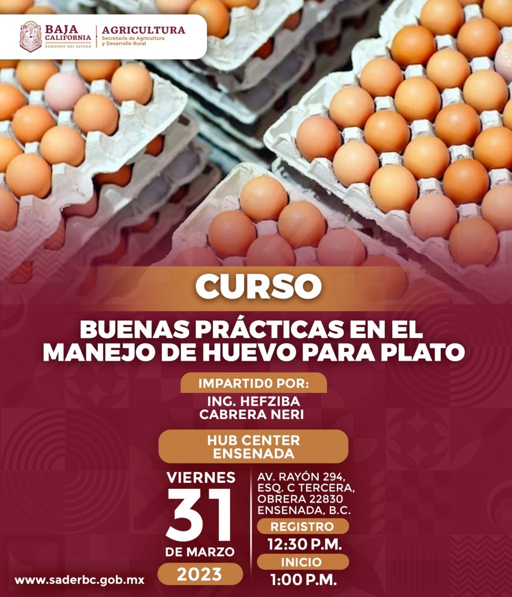 Invita SADERBC a curso gratuito para asegurar la sanidad en el manejo de huevo para plato