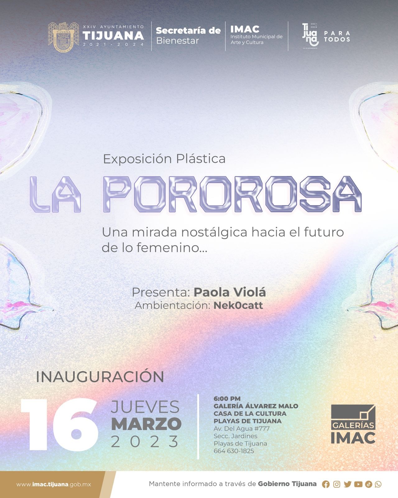 IMAC presentará exposición pictórica de la artista Paola Violá en galería Álvarez Malo