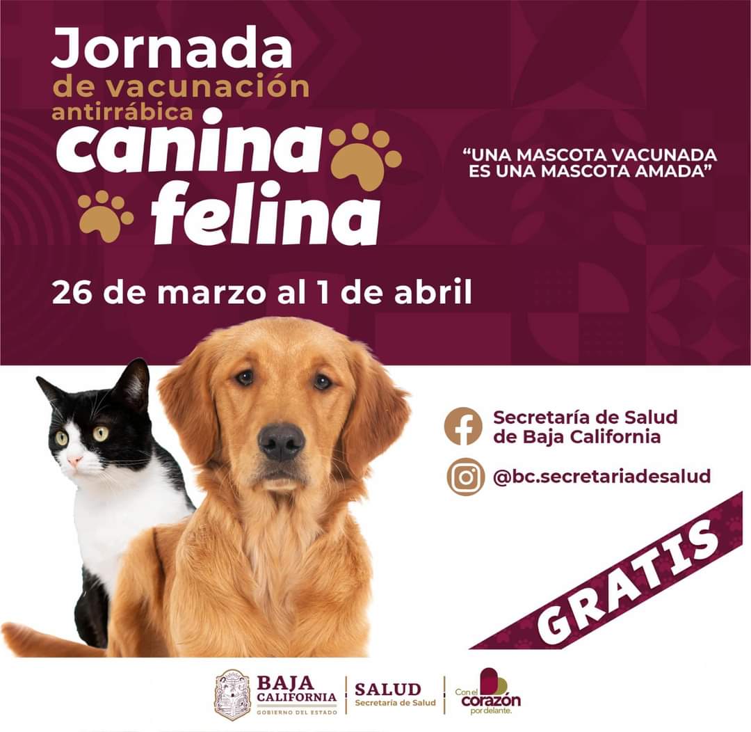 Participará Gobierno Municipal en la jornada de vacunación antirrábica canina felina