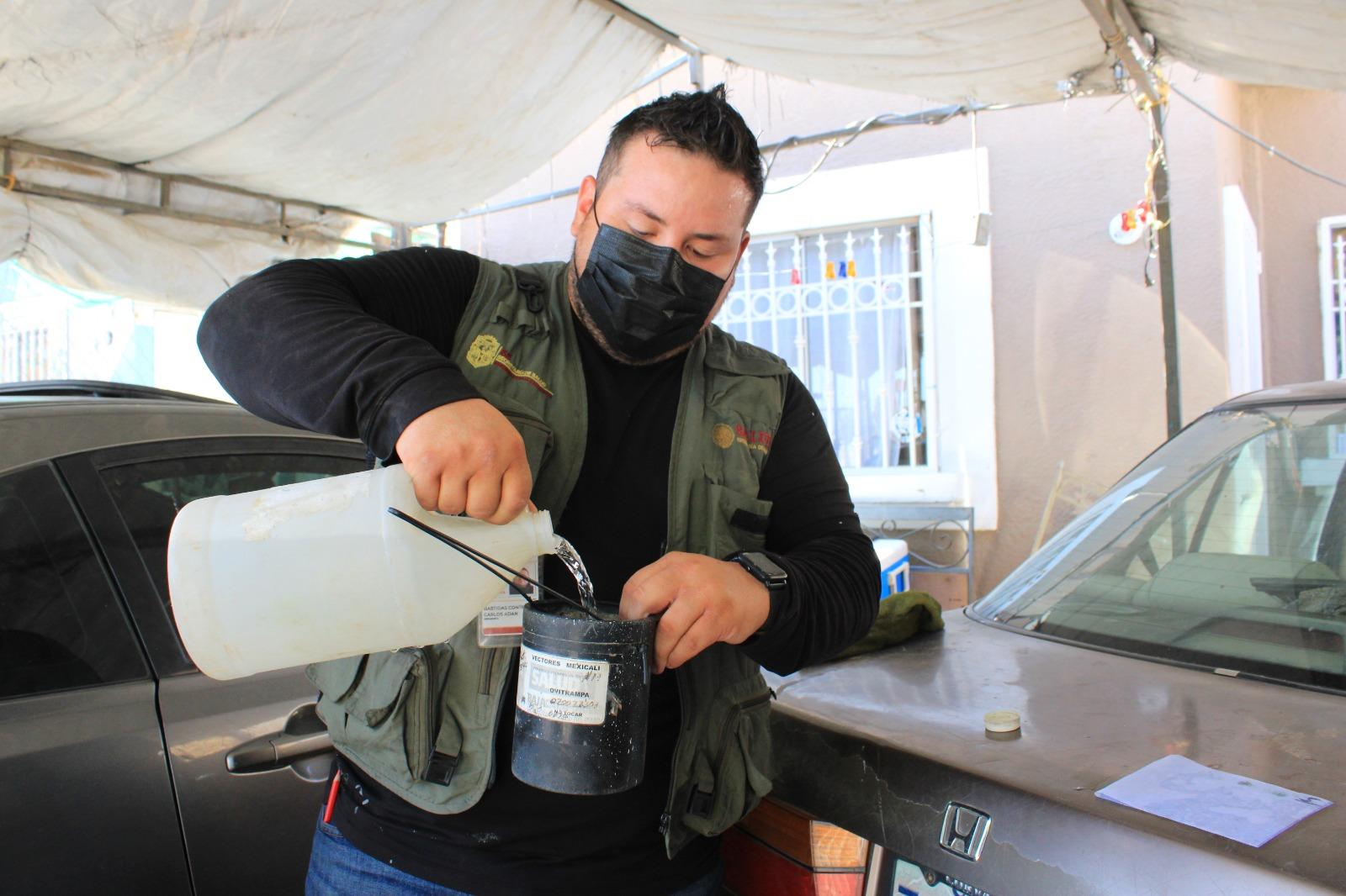 Anuncia Secretaría de Salud de BC acciones de la primera jornada nacional de la lucha contra el dengue