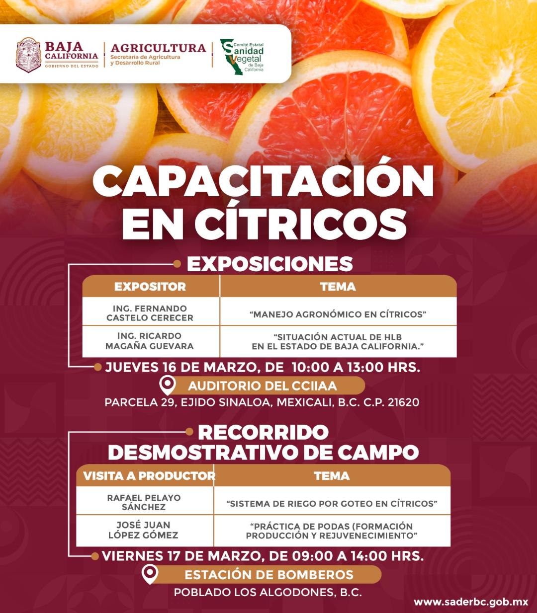 Invita SADERBC a productores de cítricos a capacitación teórica y práctica