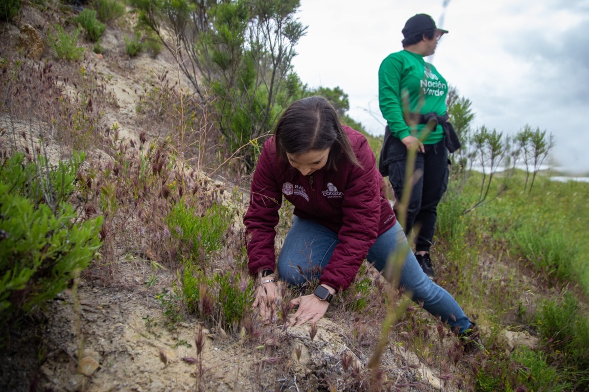 Participa SMADS en campaña de reforestación en parque esperanto