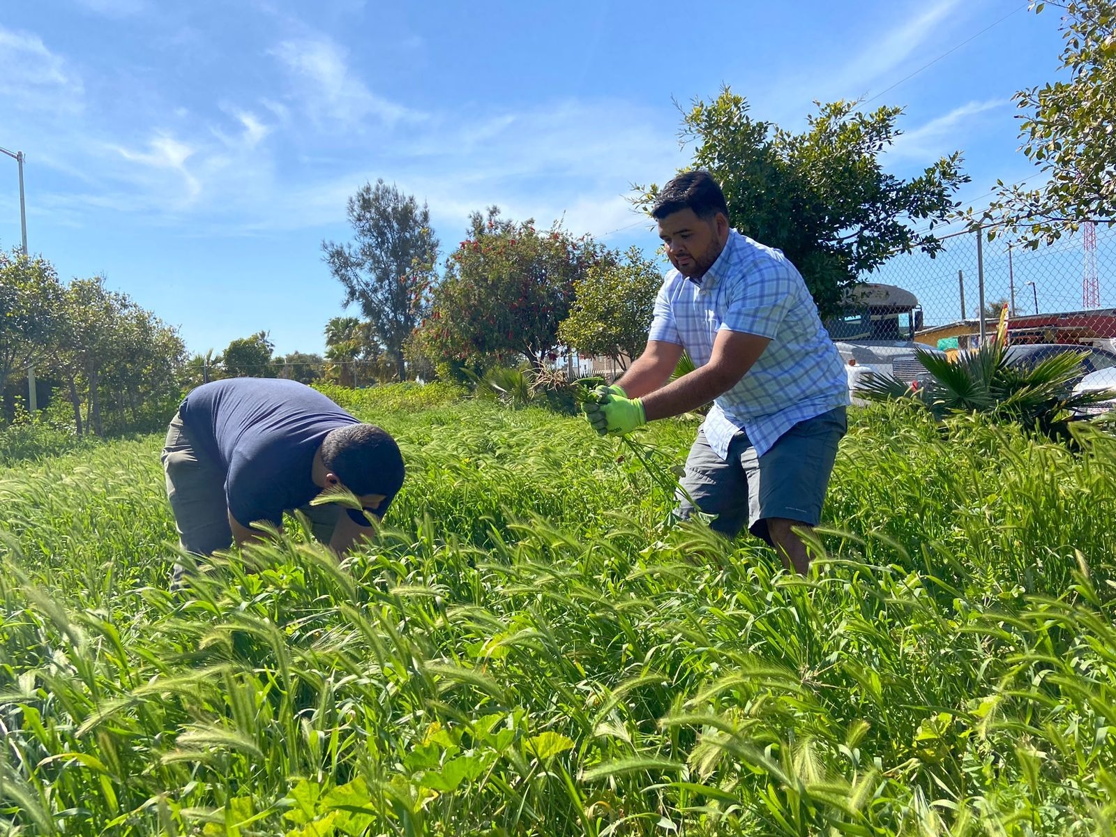 Dignifica Gobierno de Rosarito espacios deportivos con ayuda de 500 voluntarios