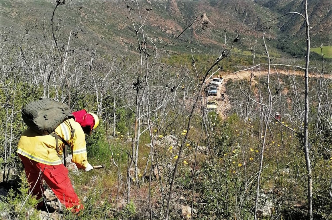 Realiza SADERBC Jornada de Limpieza en bosque de los Attenuatas para prevenir incendios forestales