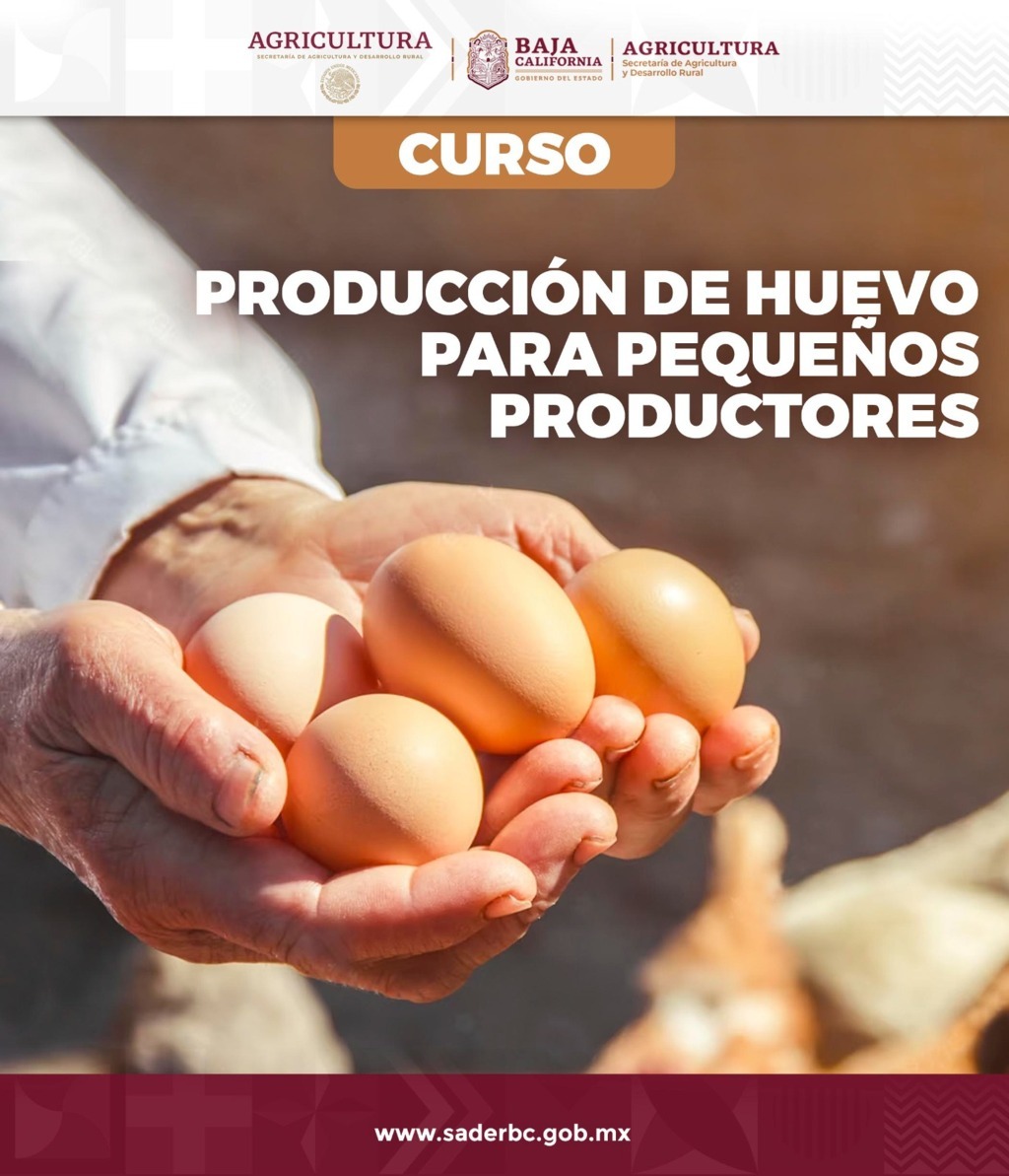 CAPACITARÁ SADERBC A PEQUEÑOS PRODUCTORES DE HUEVO PARA PLATO EN SAN QUINTÍN Y MEXICALI