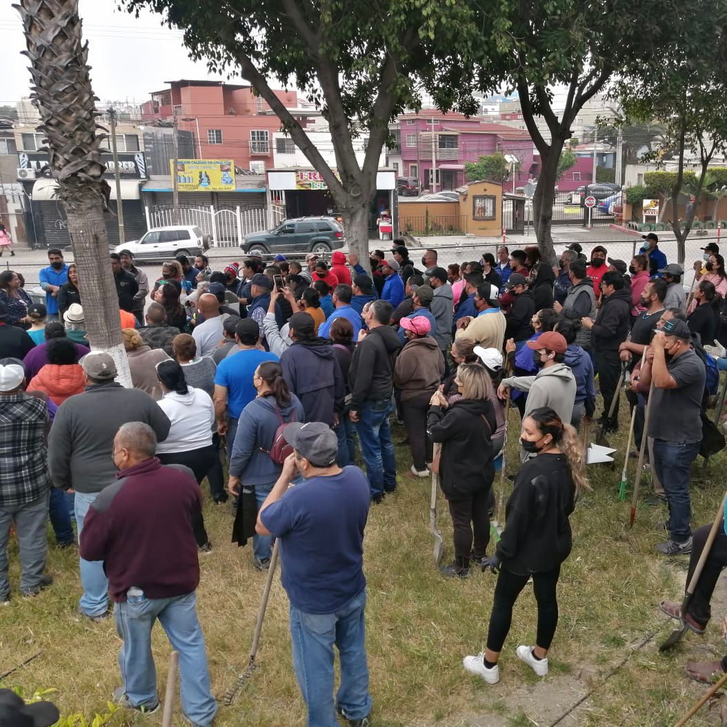 Realizan Ayuntamiento y comercio ambulante jornada de reforestación, por una Tijuana para todos