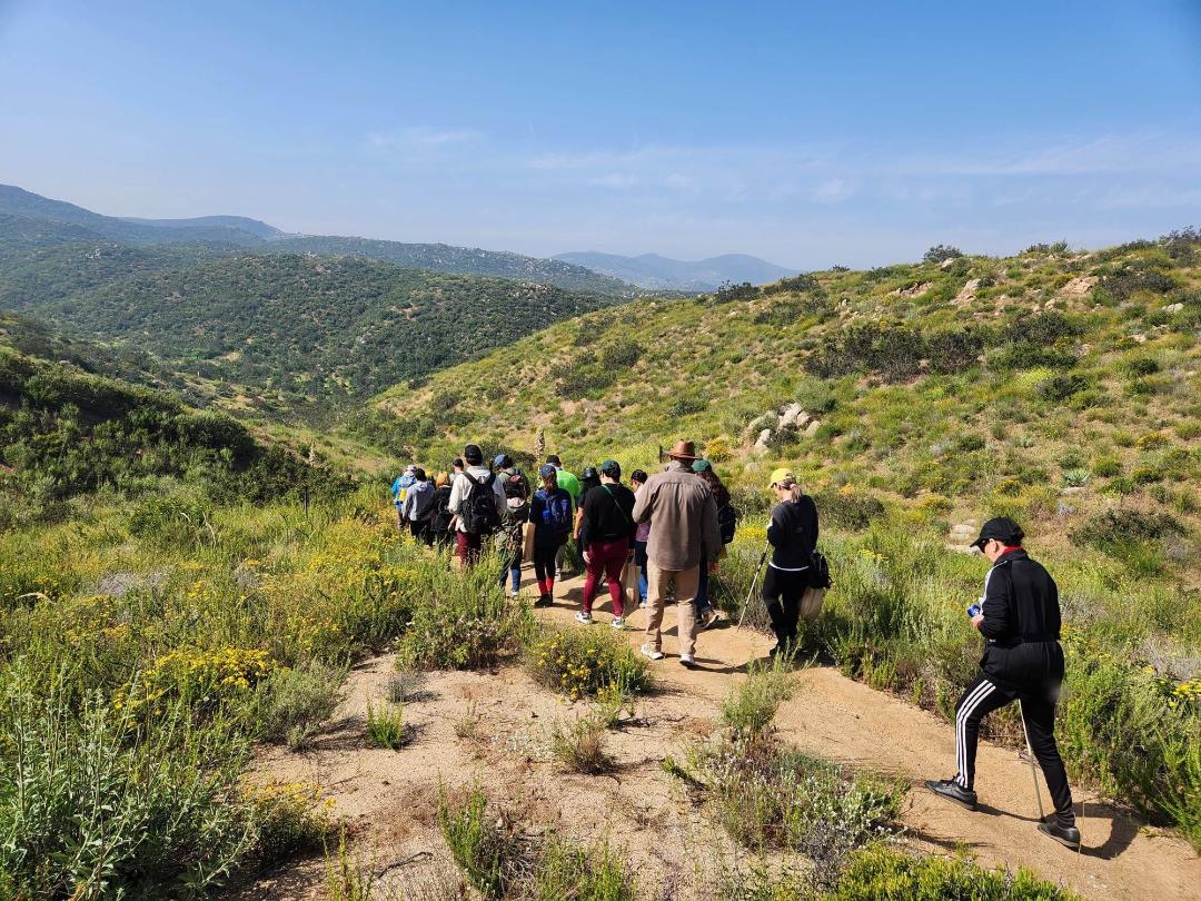 Participa Tijuana Verde en expedición botánica en Rancho Casián