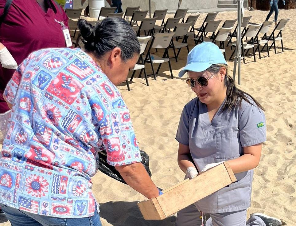 Encabeza IPEBC recolección de colillas en malecón de San Felipe