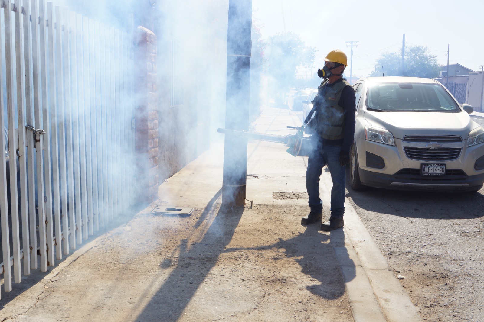 BC NO PRESENTA CASOS DE ENCEFALITIS DEL VIRUS DE SAN LUIS; SE REFUERZAN ACCIONES PREVENTIVAS: SECRETARÍA DE SALUD