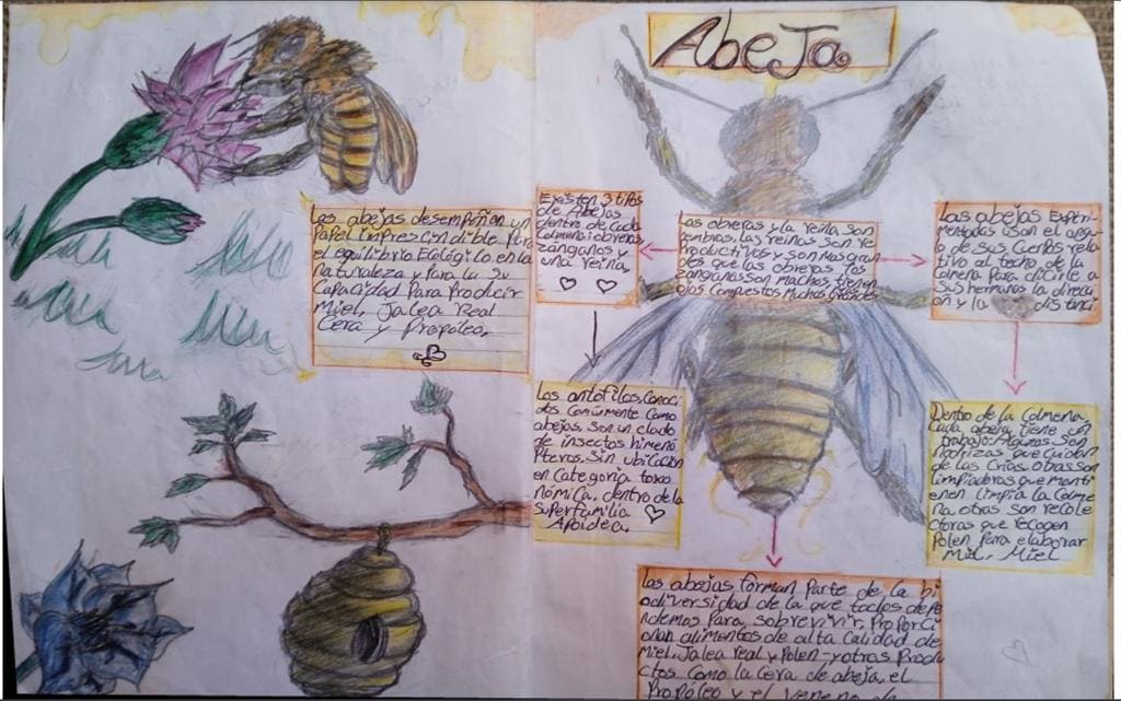 DESTACA ALUMNA ROSARITENSE EN CONCURSO NACIONAL DE DIBUJO SOBRE LA IMPORTANCIA DE LAS ABEJAS: SECRETARÍA DE EDUCACIÓN