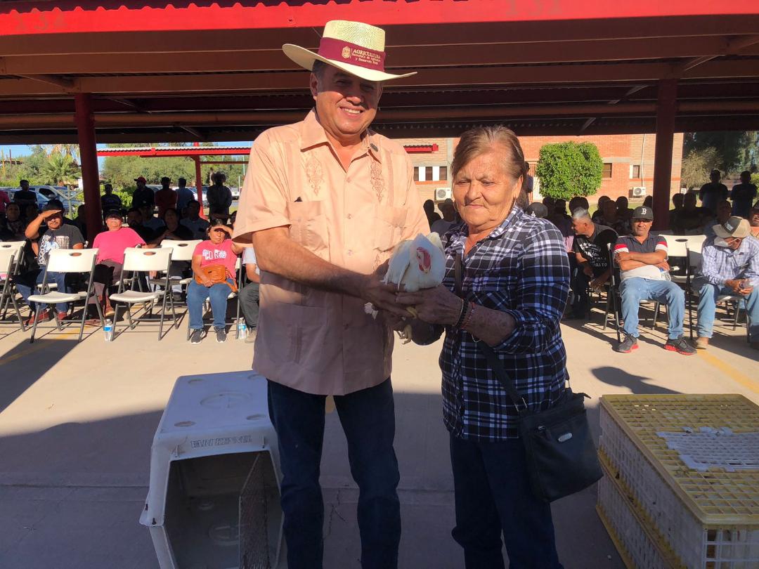 Inicia SADERBC impulso al desarrollo de zonas rurales con la entrega de aves en edad de postura en Mexicali