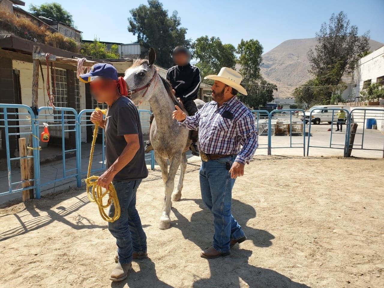 Alcaldesa de Tijuana reactiva la equinoterapia para apoyar procesos de rehabilitación