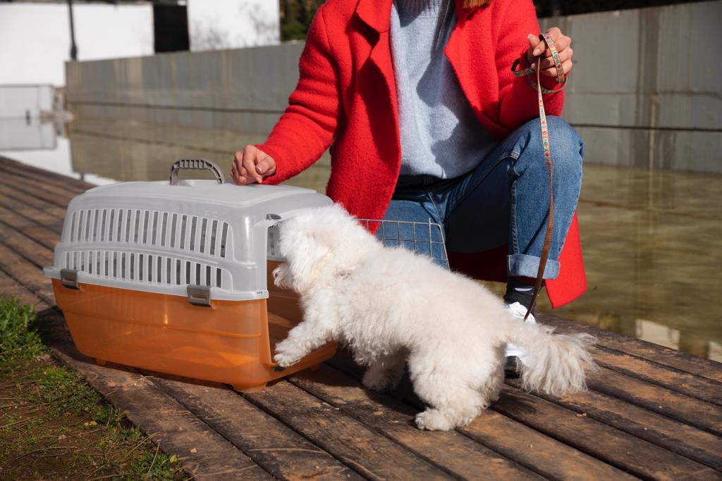 FORTALECE CUIDADO RESPONSABLE DE PERROS ACCIONES CONTRA LA RICKETTSIOSIS: SMADS