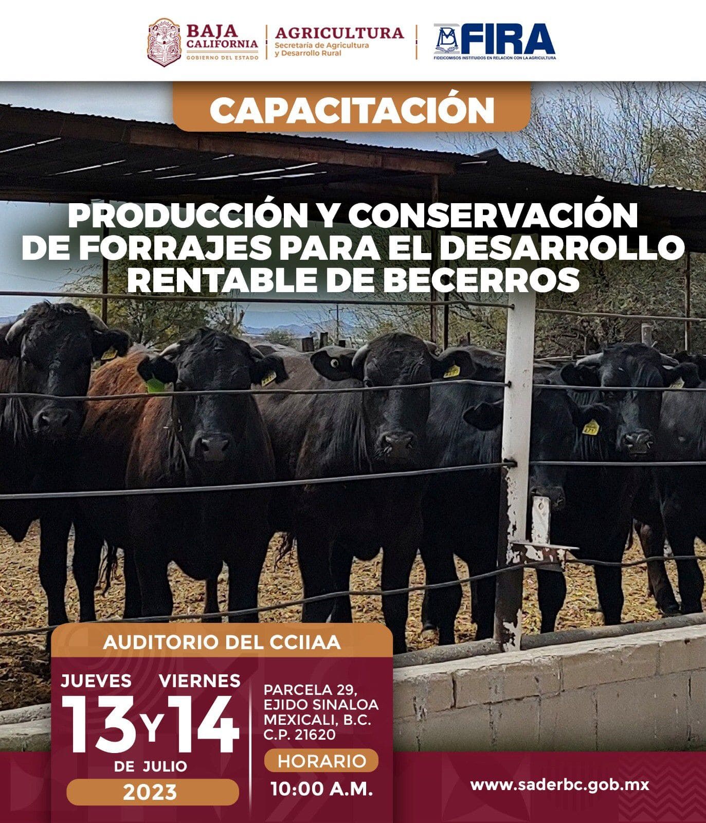 OFRECE SADERBC CAPACITACIÓN SOBRE LA PRODUCCIÓN Y CONSERVACIÓN DE FORRAJES