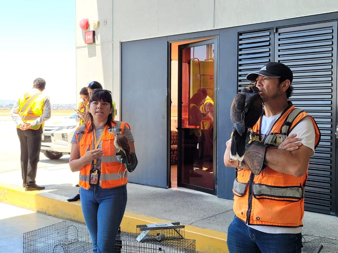 Estudiantes del CUT visitan instalaciones del Aeropuerto de Tijuana