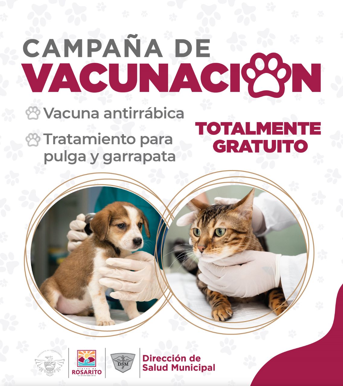 Invita Gobierno Municipal a aprovechar la Campaña Gratuita de Vacunación Antirrábica