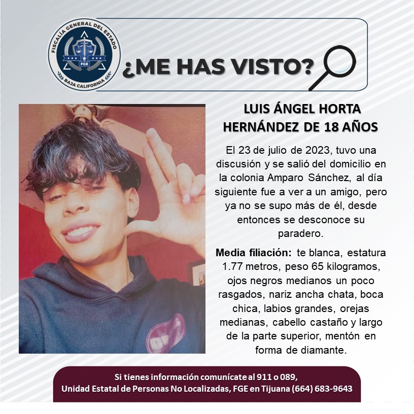 Servicio Social: Se busca a Luis Ángel Horta Hernández de 18 años