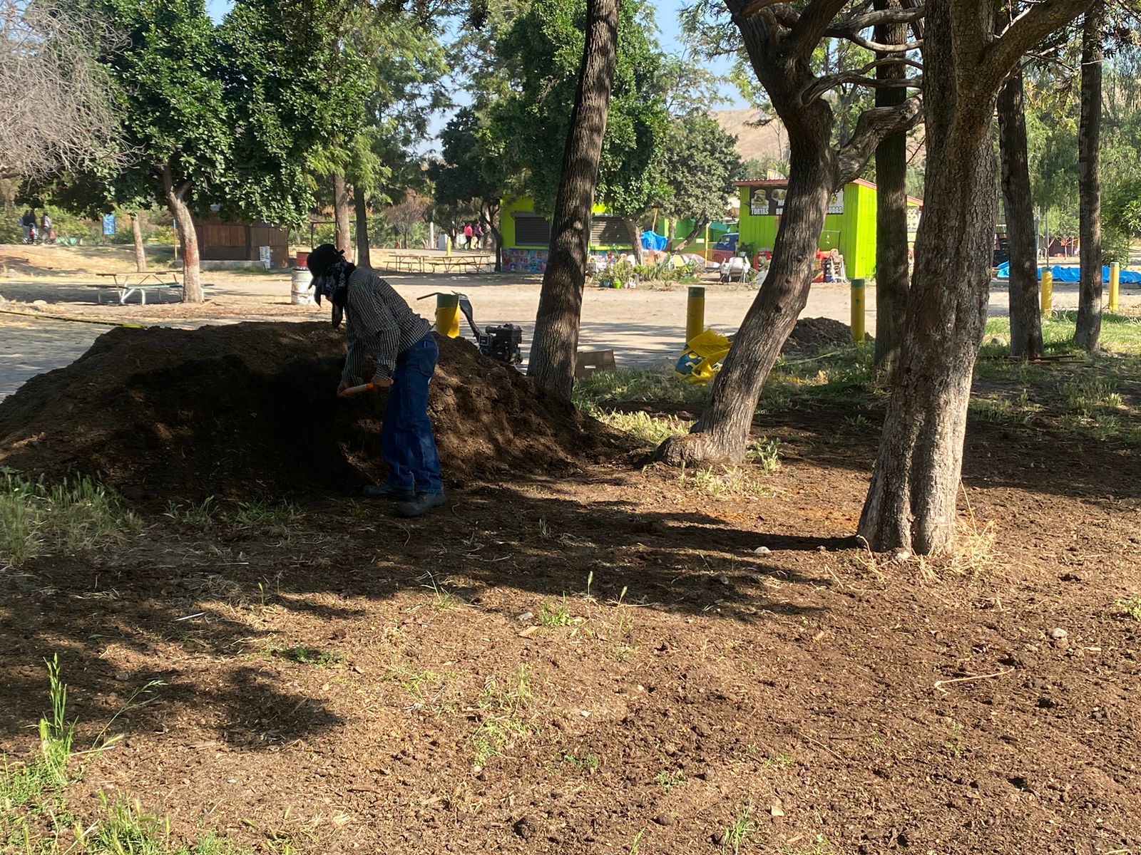 Inicia Ayuntamiento rehabilitación de nueva área verde en Parque Morelos