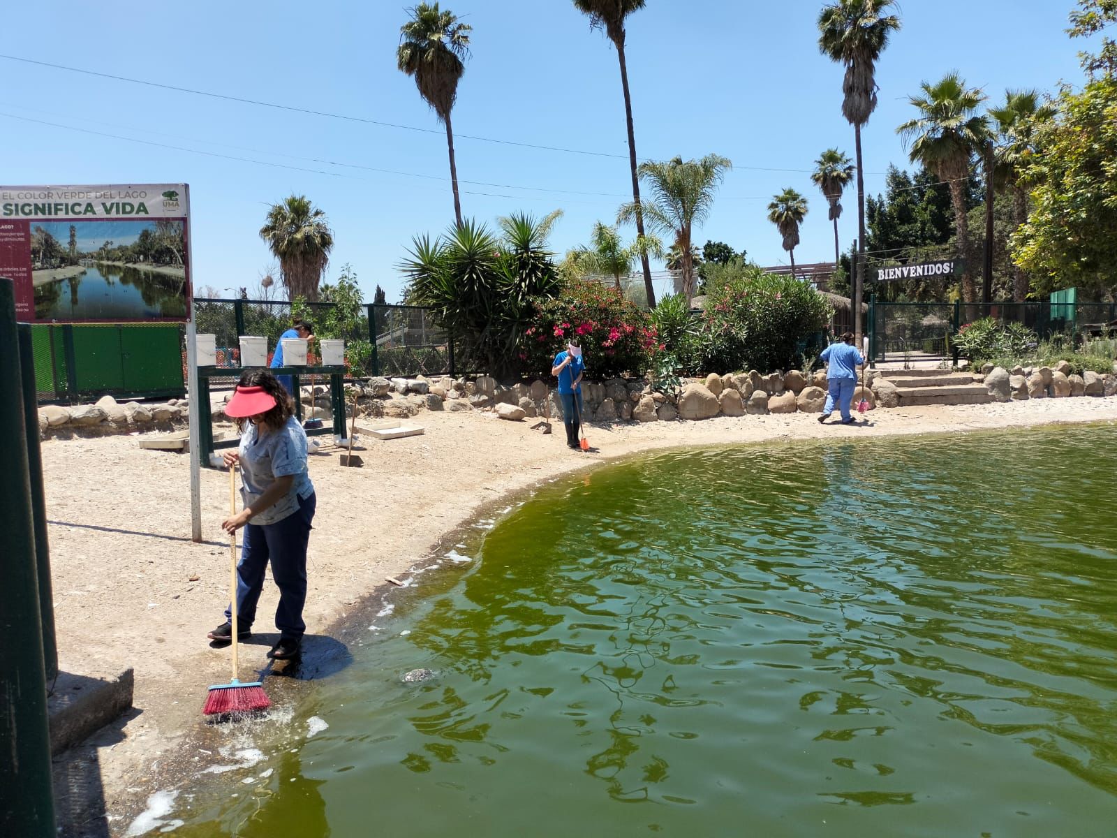 Ayuntamiento de Tijuana exhorta a la comunidad a cuidar el lago del Parque Morelos