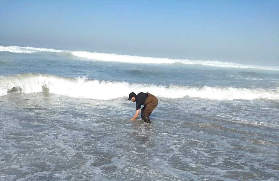 INICIARÁN COEPRIS BC Y EL PROYECTO FRONTERIZO DE EDUCACIÓN AMBIENTAL ESTUDIO DE CALIDAD DEL AGUA EN PLAYAS DE TIJUANA