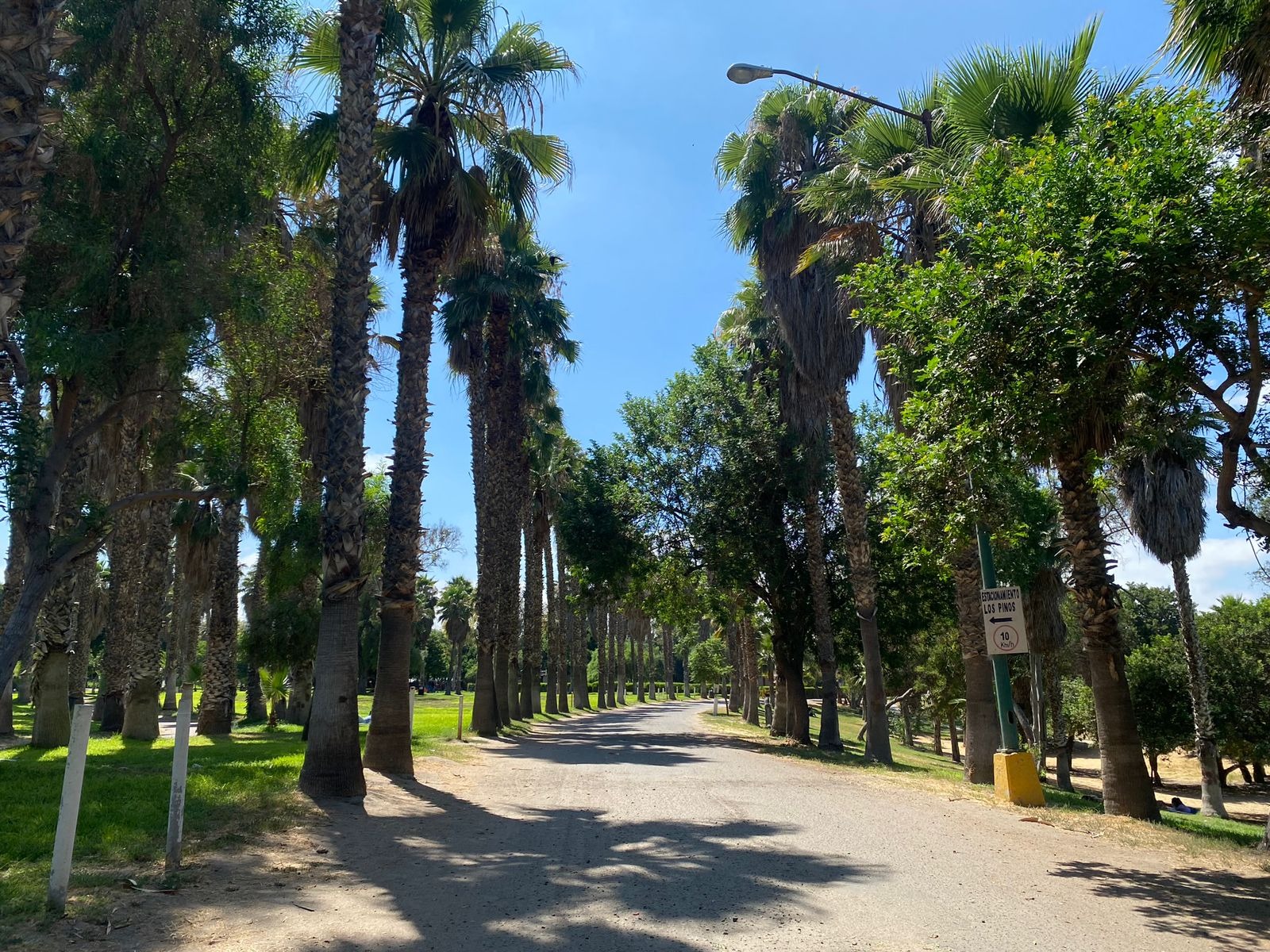 Parques Morelos, de la amistad y sauces cerrarán los miércoles para su mantenimiento