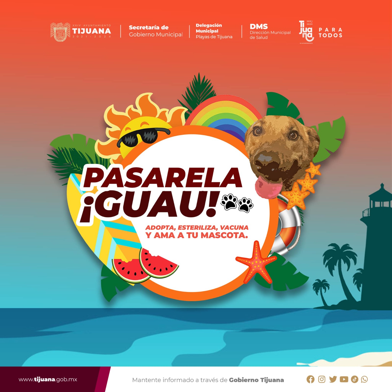 Invita Ayuntamiento a la pasarela “Guau” en Playas de Tijuana