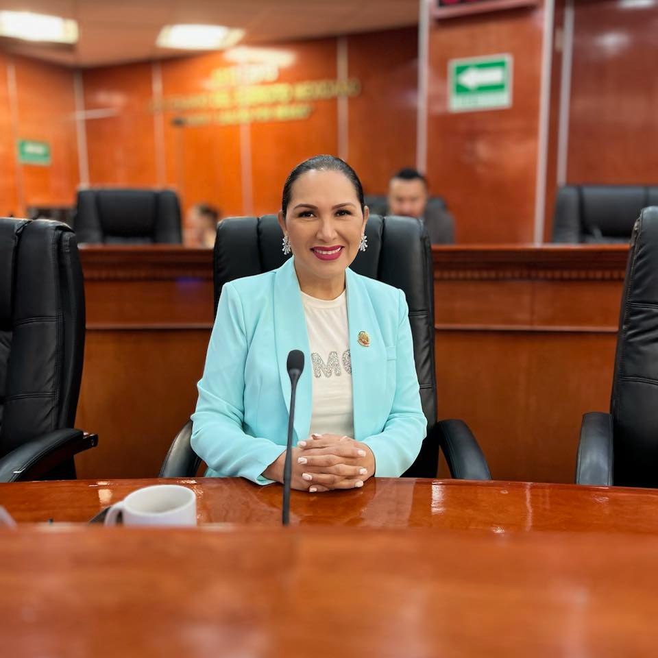 Diputada Araceli Geraldo propone establecer periodos de cobro de colegiaturas para evitar abusos