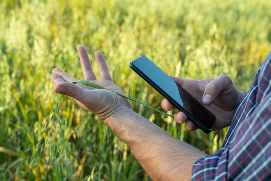 La revolución de la tecnología en el campo mexicano: Uniendo al agricultor con la era digital