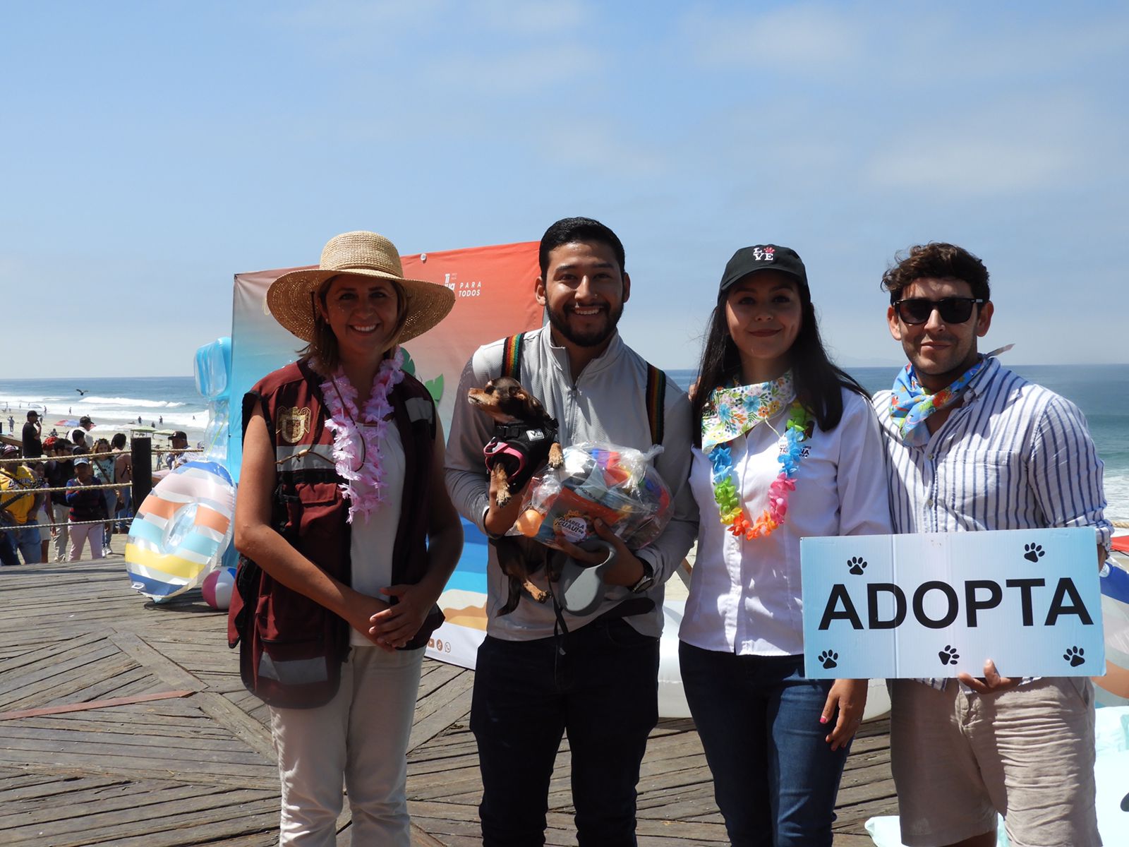 Tijuanenses adoptan 15 mascotas durante “Pasarela guau” en Playas de Tijuana