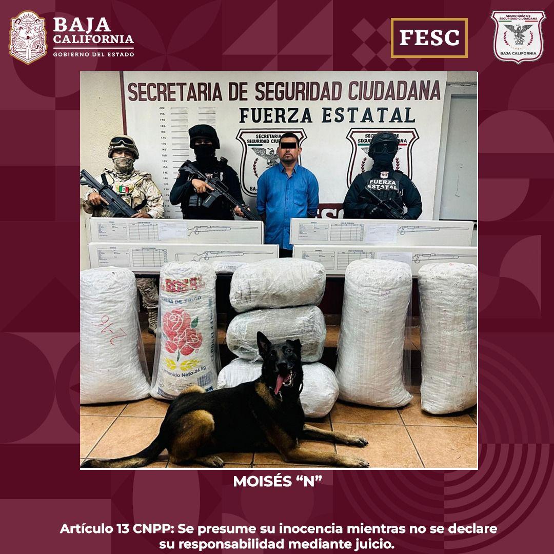 Detienen FESC y SEDENA a hombre con armas y marihuana en Tecate