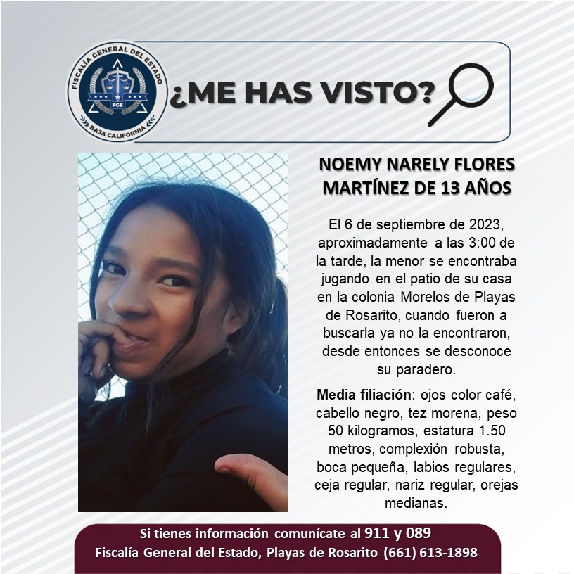 Pesquisa de Noemy Narely Flores Martínez de 13 años