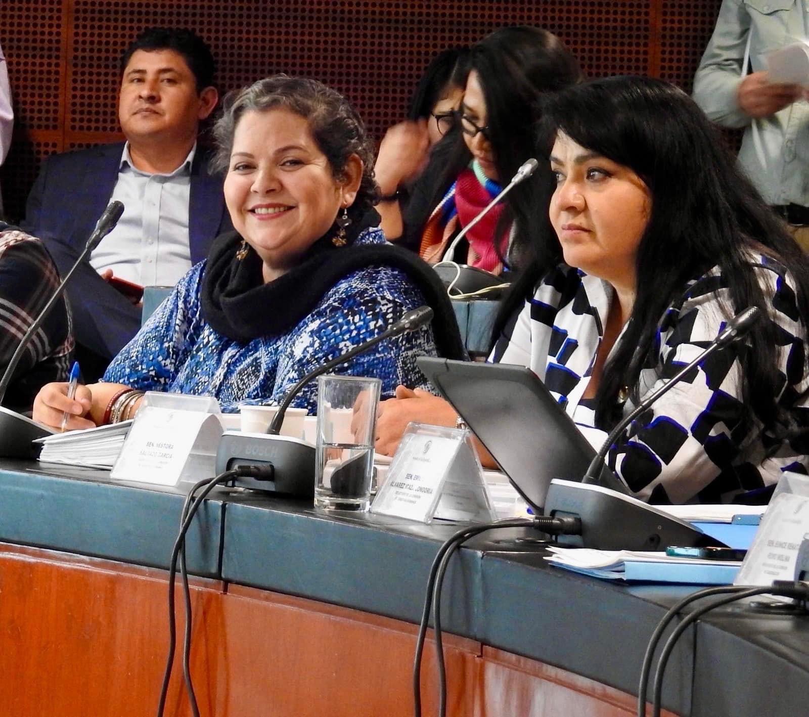 Presenta dip. Evangelina Moreno a expertos de naciones unidas el caso de la indígena Kenia Hernández