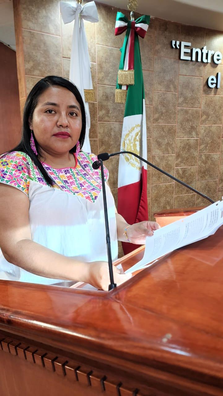 Diputada Evelyn Sánchez propone mayor supervisión a proyectos de construcción y obra pública