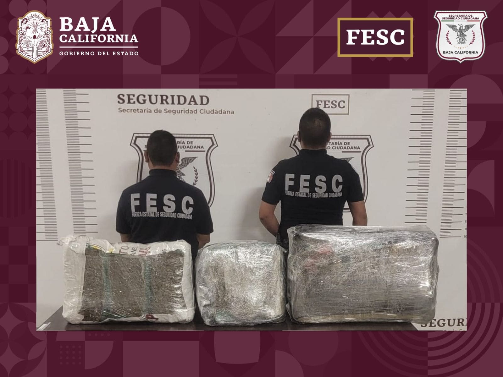 ASEGURA FESC 24 KILOS DE MARIHUANA EN TIJUANA