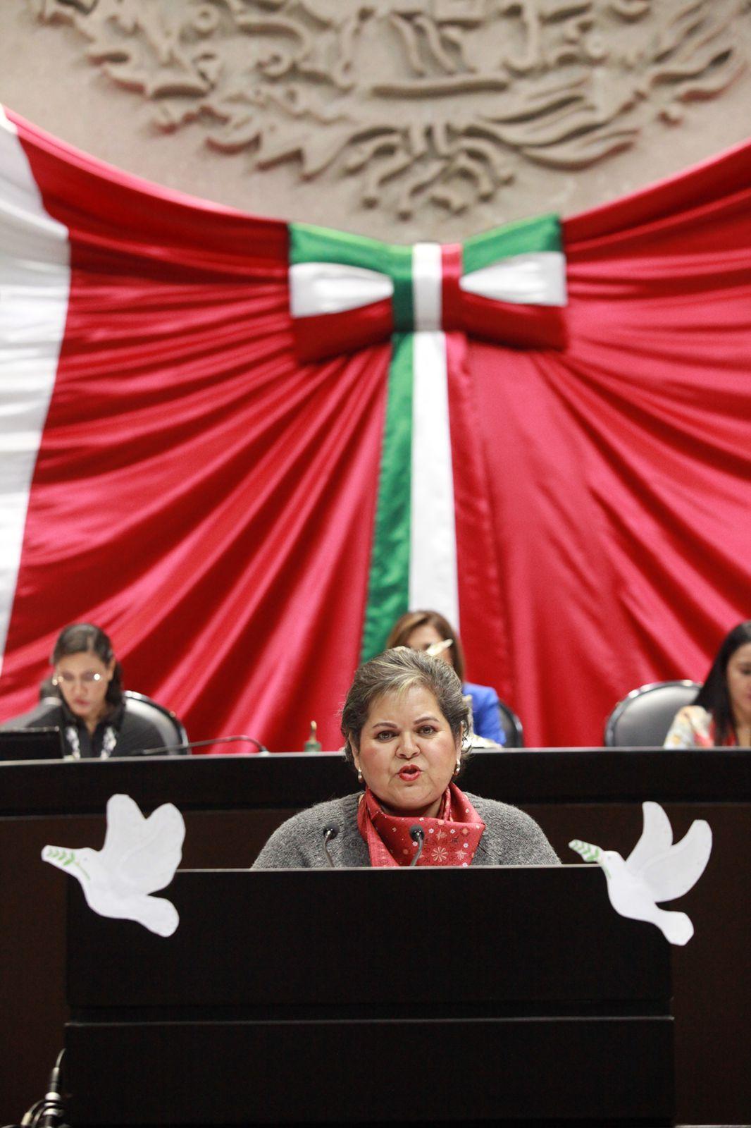 Respaldan diputados federales la gestión de Rosario Piedra Ibarra al frente de la CNDH