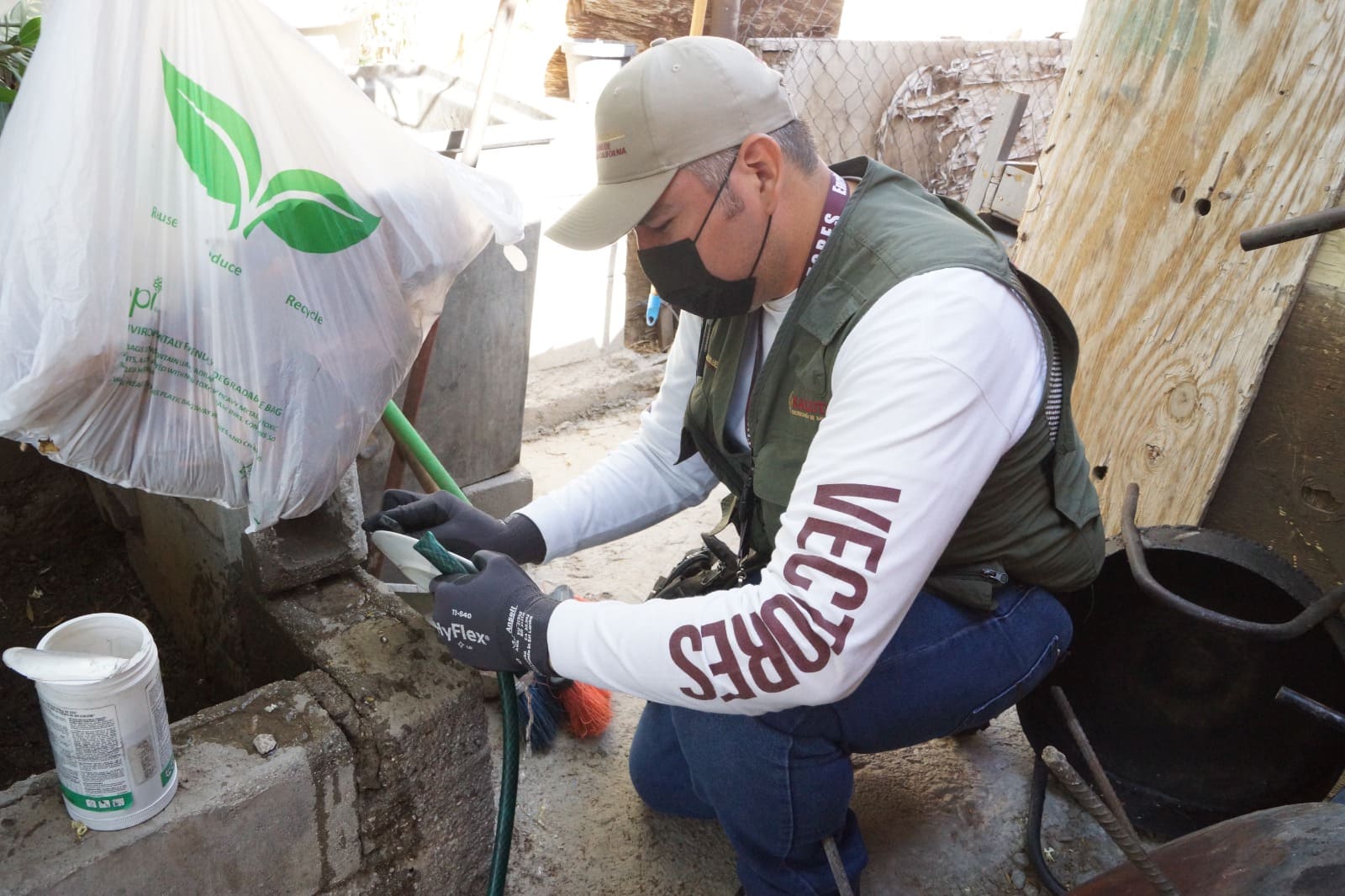 RECOMIENDA SECRETARÍA DE SALUD REFORZAR ACCIONES PARA EVITAR CRIADEROS DE MOSCO TRANSMISOR DE DENGUE, ZIKA Y CHIKUNGUNYA