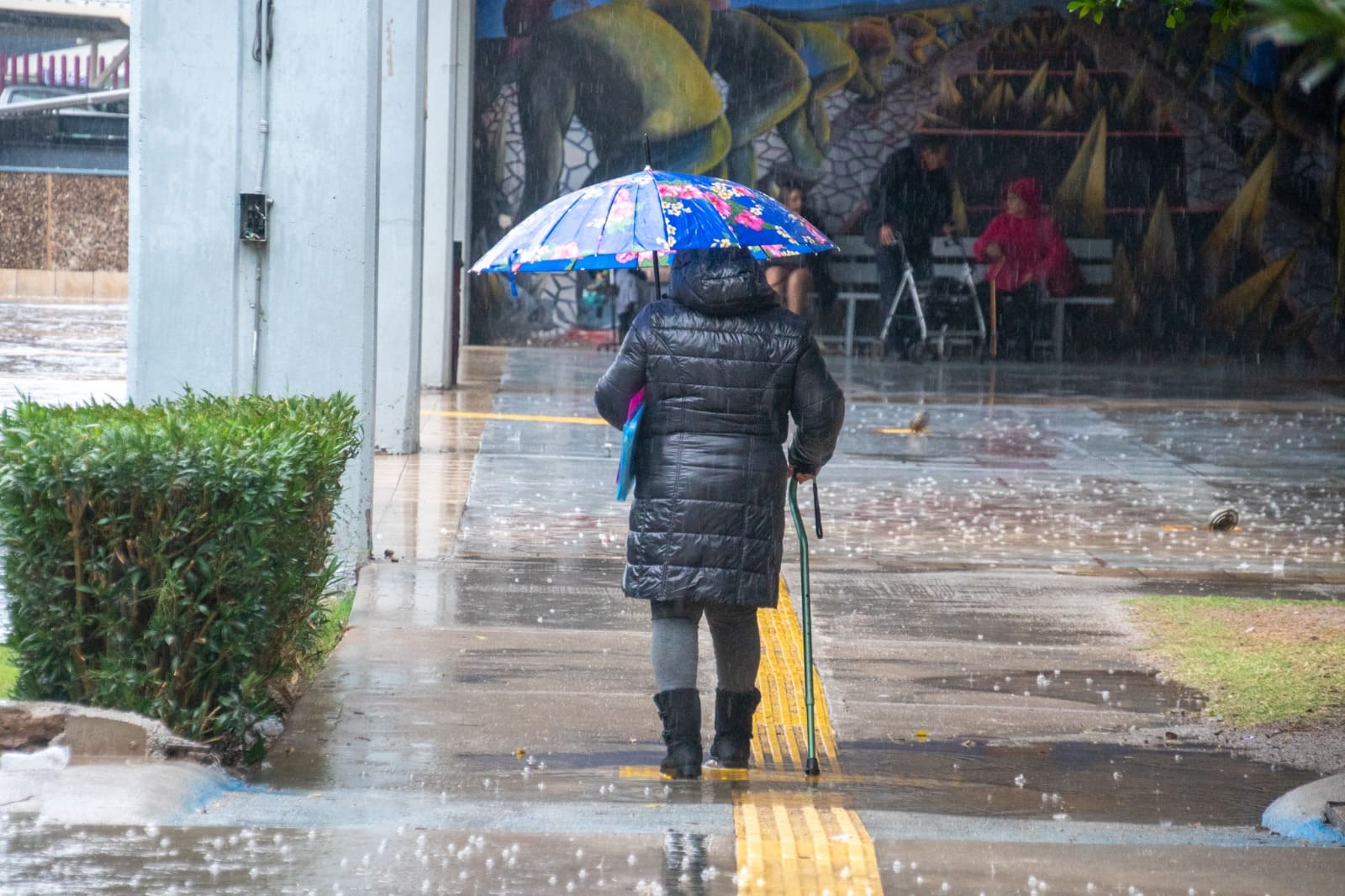 EMITE SALUD RECOMENDACIONES ANTE EL PRONÓSTICO DE LLUVIAS